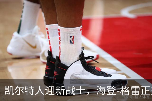 凯尔特人迎新战士，海登-格雷正式加盟！